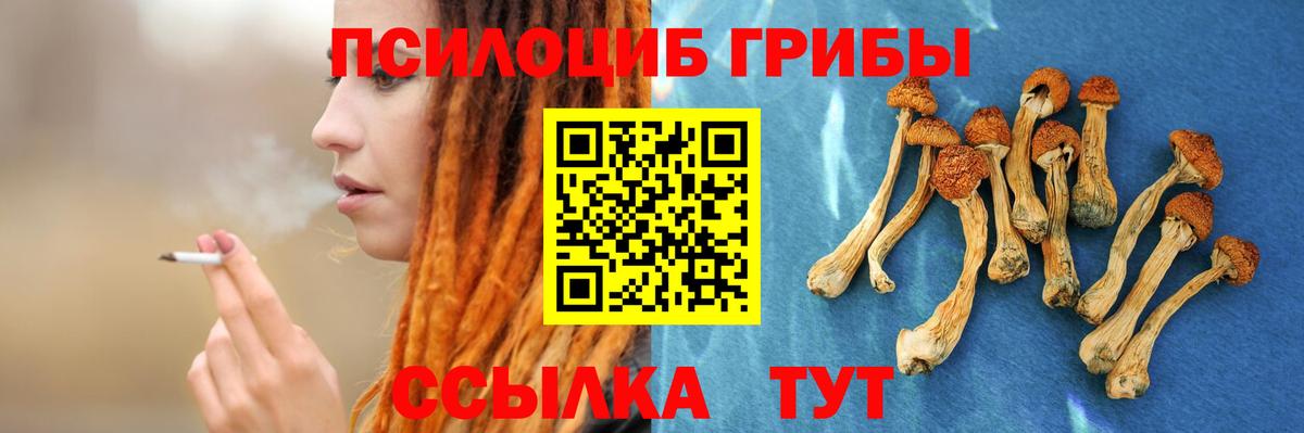 Меф кристаллы  Бошки Шишки  Вход с VPN  Alpha PVP СК   Владимир  COCAIN  ГАШИШ 